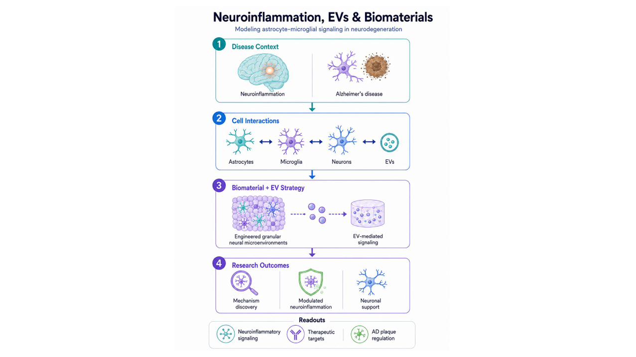Neuroengineering Research